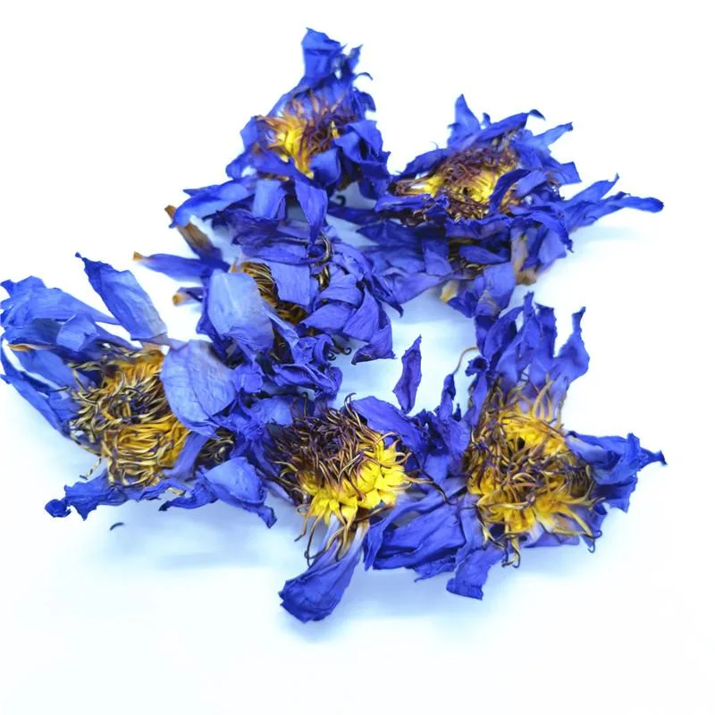 Top Quality Factory Supply Chinese Flavor Tea LAN Lian Hua Dried Blue Lotus Flower Blue Lotus Bulk 50g/Bag